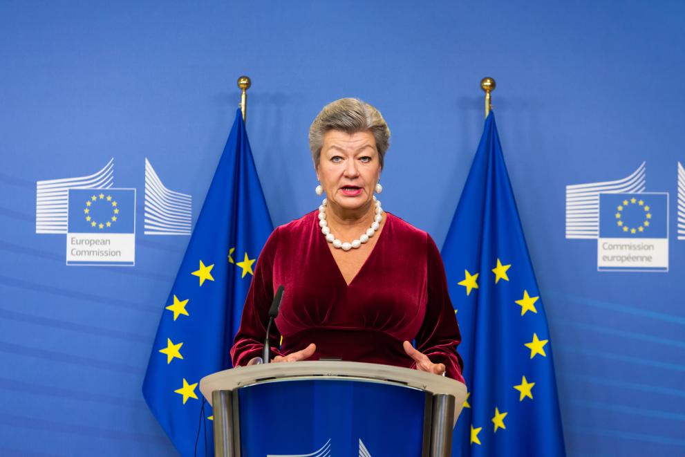 Statement On The Political Agreement On The New Pact On Migration And ...