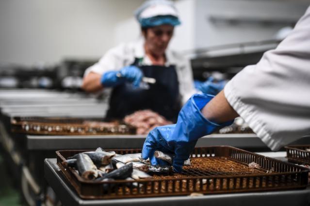 Commission sets out strategy to promote decent work worldwide and prepares instrument for ban on forced labour products