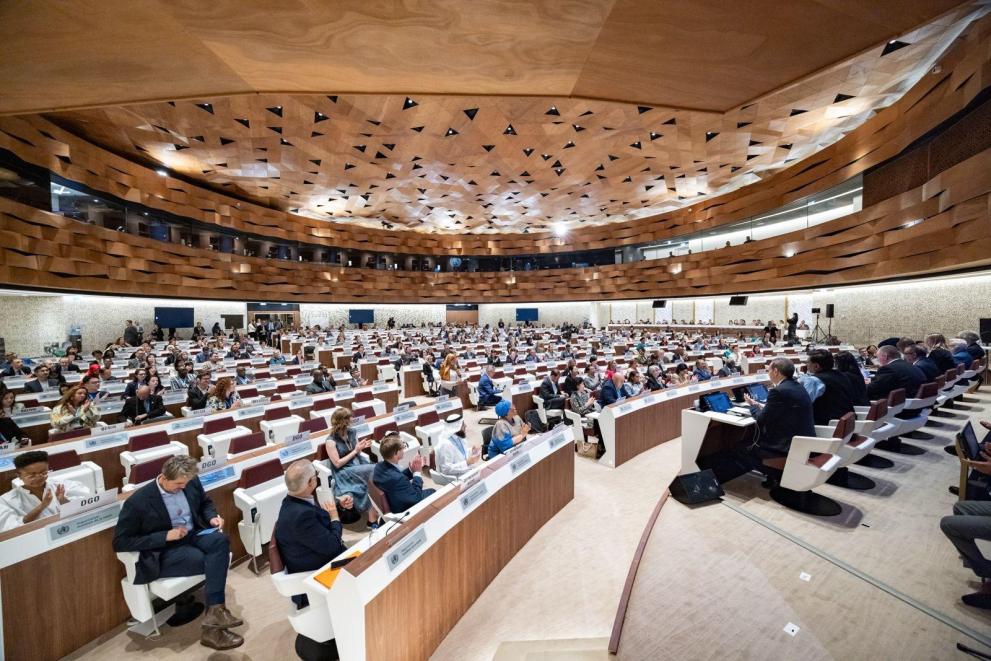 Plenary of the World Health Assembly in Geneva on 1 June 2024
