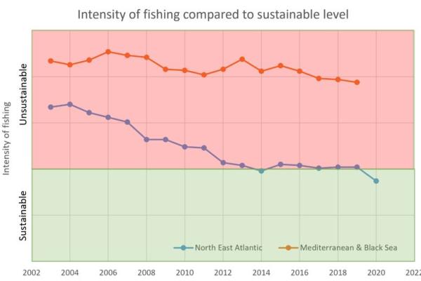 Fisheries management