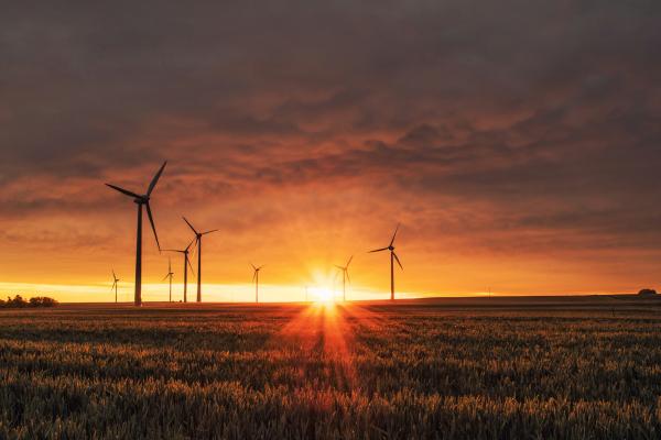 wind turbines against a sunset in a field